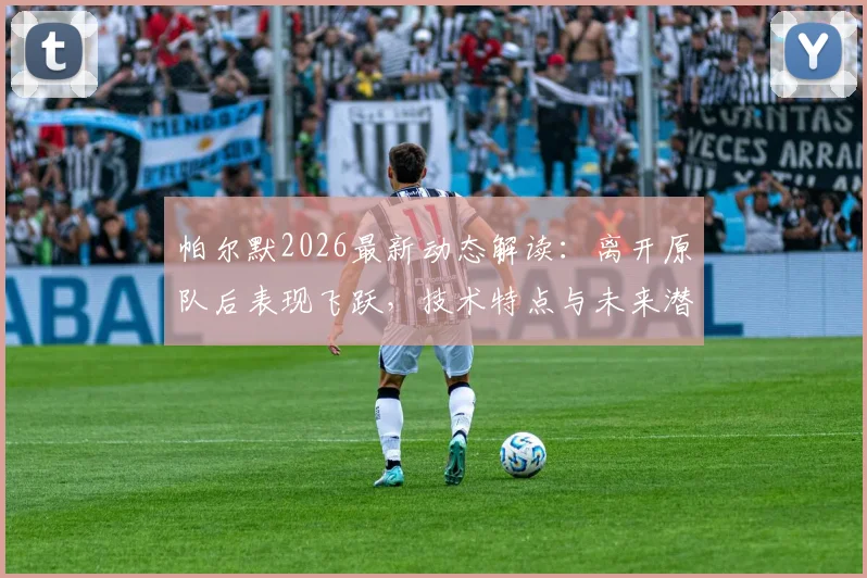 帕尔默2026最新动态解读：离开原队后表现飞跃，技术特点与未来潜力深度分析，回应“需要机会”言论